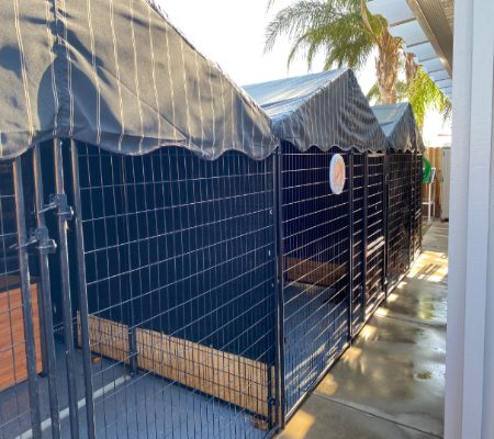 Central Valley German Shepherds, photo 11