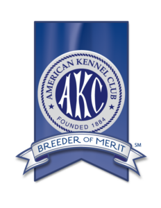 AKC Breeder of Merit