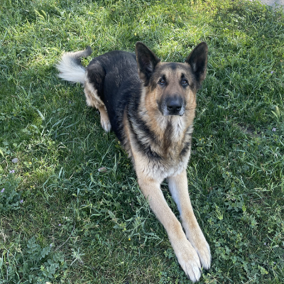 Oakley