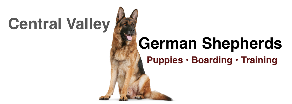 Central Valley German Shepherds