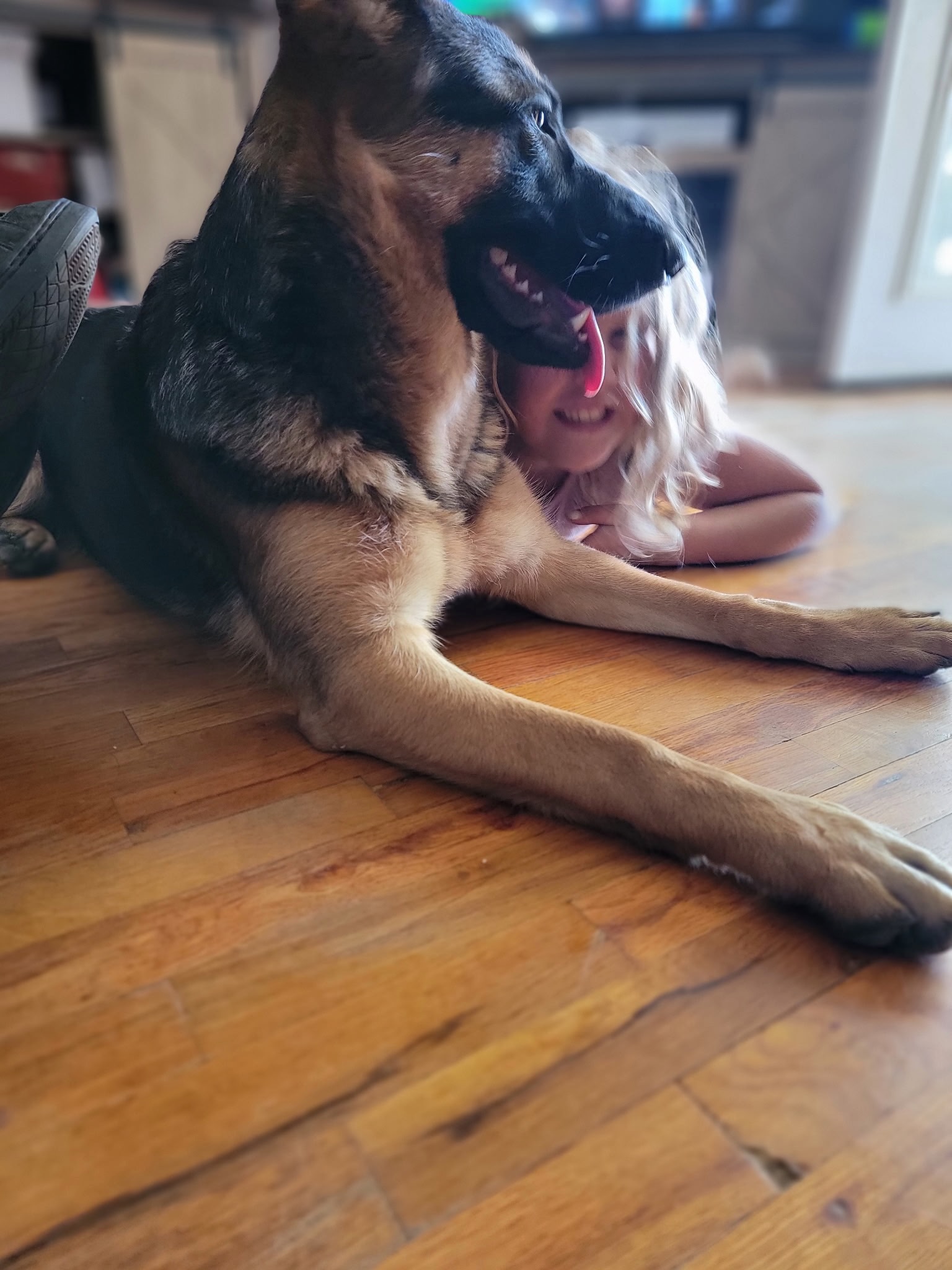 Puppy 9