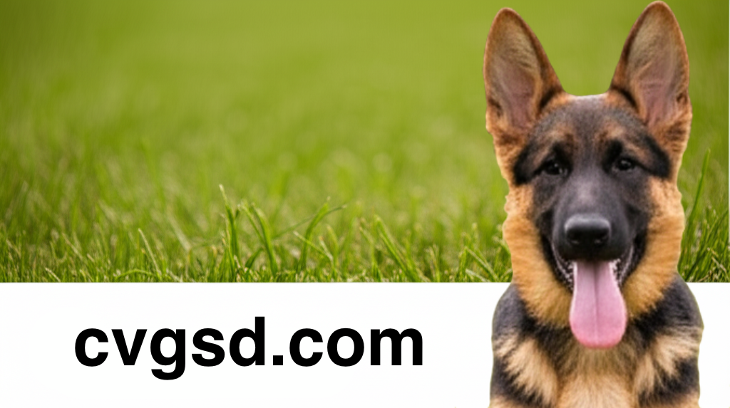 Welcome to our new website!
